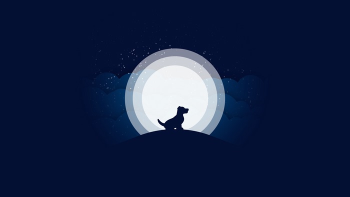 Dog silhouette against a large moon