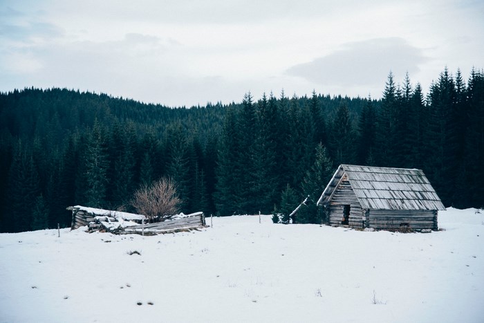 Snow-covered wooden cabin by pine forest