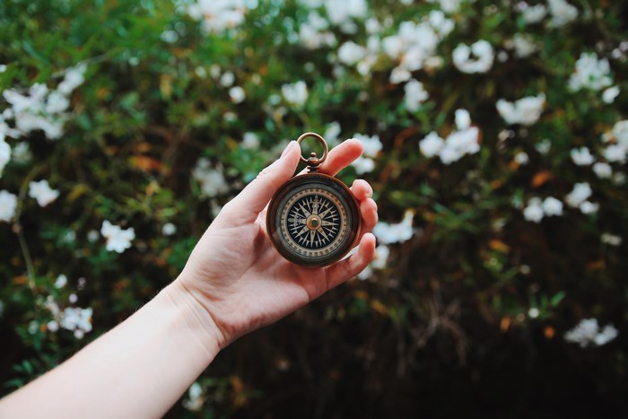 Hand holding a compass with flowers in the background