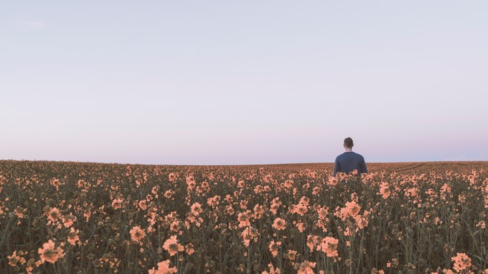 Man in a field of yellow flowers at sunset