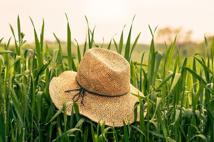Straw hat resting in a green field
