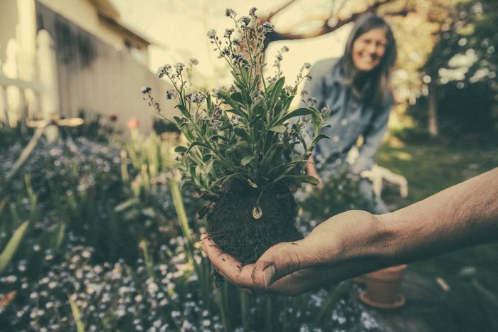 Woman smiling while planting a flower in a garden