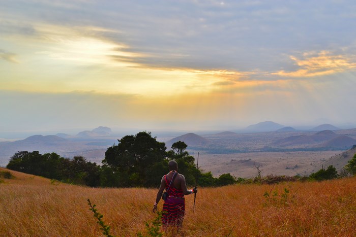 Masai warrior walking through a field at sunset in Kenya
