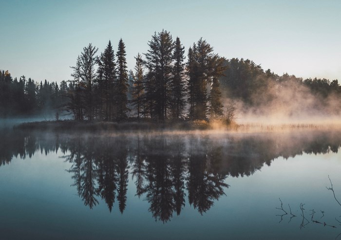 Misty forest island reflected in a calm lake at sunrise