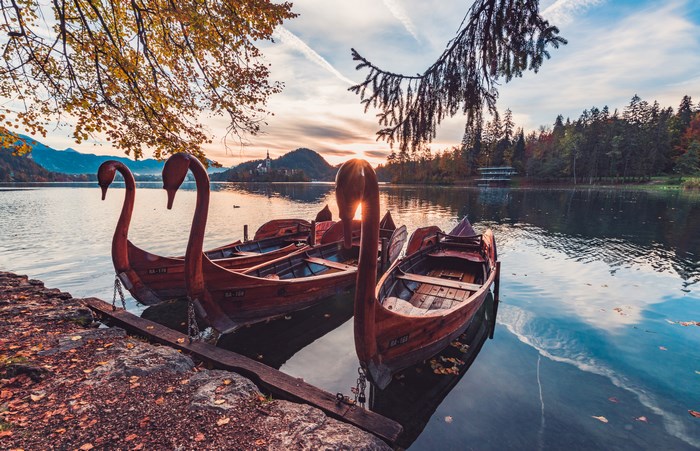 Swan boats on Lake Bled at sunrise