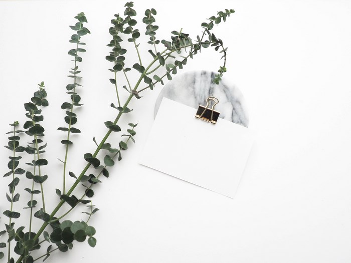 Minimalist Eucalyptus Branch with Blank Paper and Brass Clip
