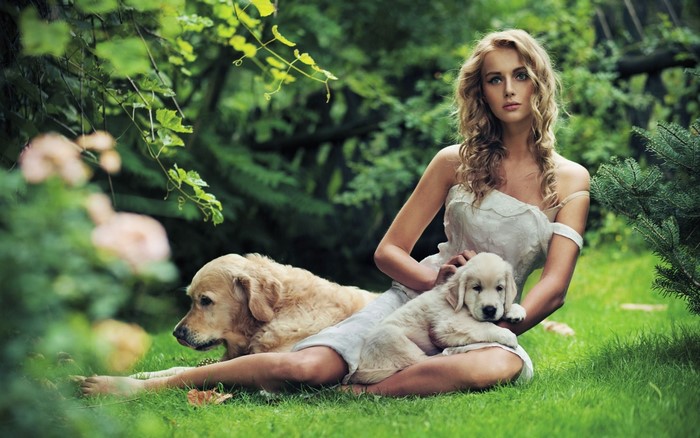 Young Woman Sitting on Grass with Two Golden Retrievers