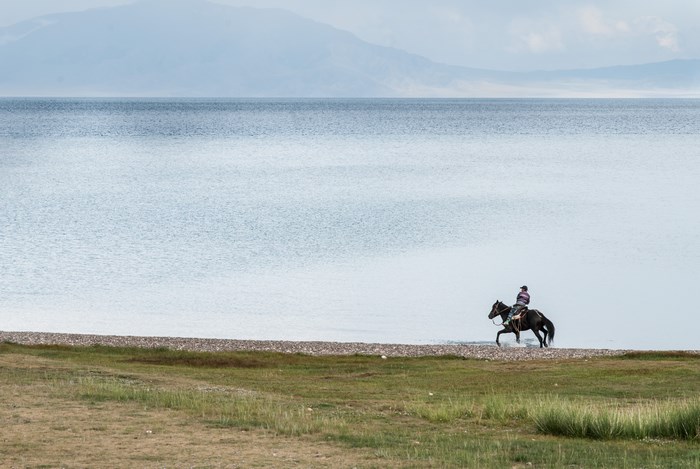 Person riding a horse by a large body of water
