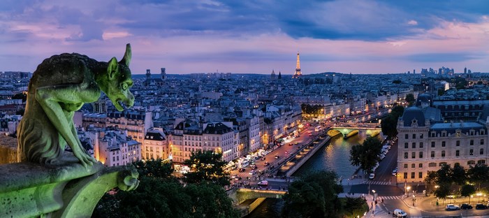 Gargoyle overlooking Paris skyline at night