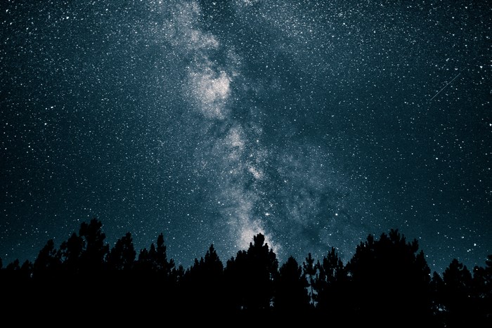 Milky Way over silhouetted trees at night