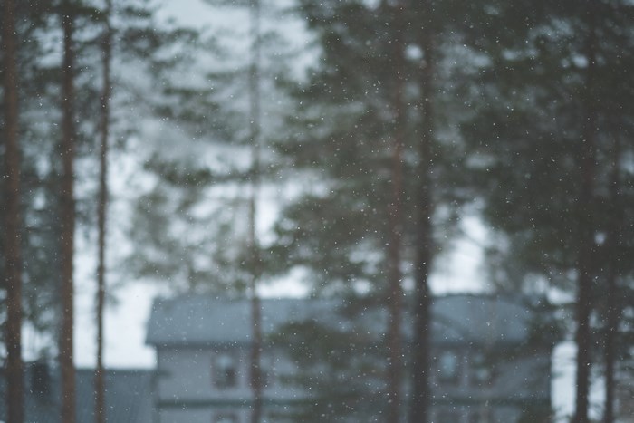 Snowfall in a winter forest with a house