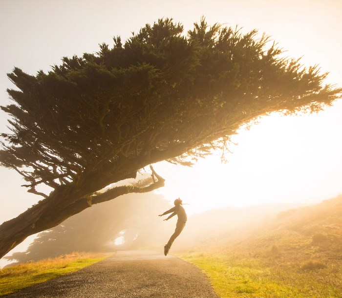 Person jumping under a large tree in fog
