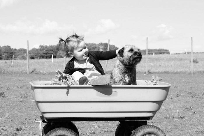 Toddler and Border Terrier in a Wagon