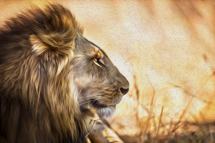 Lion artwork with a mane in profile