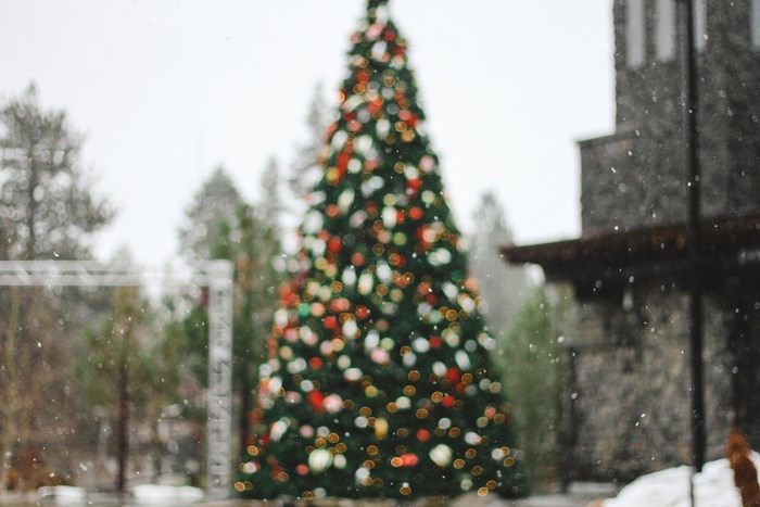 Blurry Christmas Tree in Snowing Weather