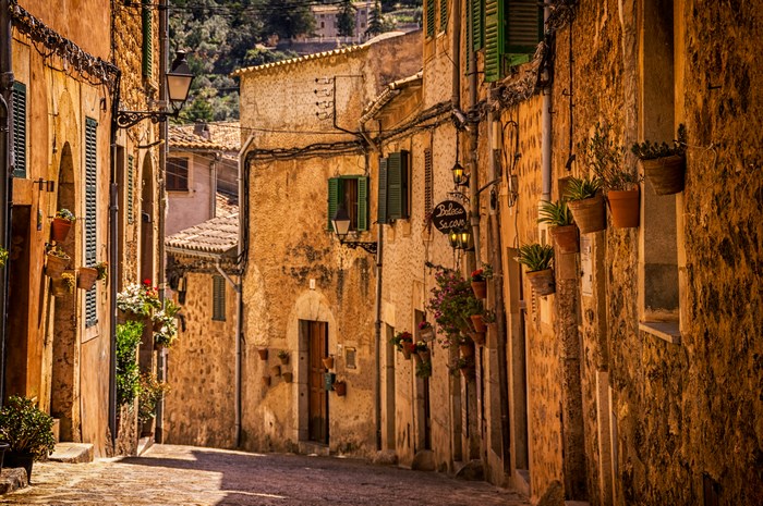 Narrow cobblestone street lined with old stone buildings and plants