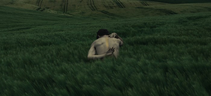 Man in a green field with yellow stripe