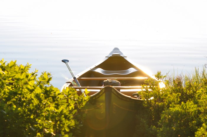 Canoe with Oar on a Sunny Lake Shore
