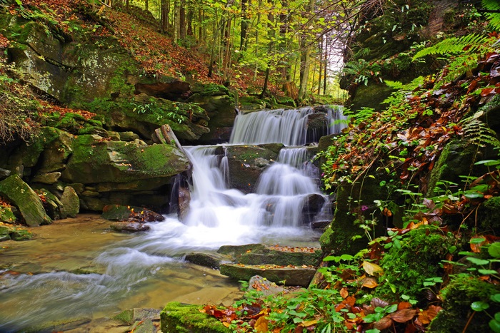 Waterfall in a forest with mossy rocks and autumn leaves