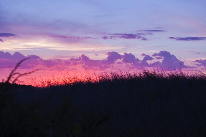 Pink and purple sunset over a grassy field
