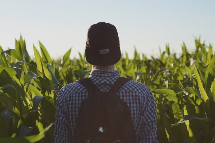 Man wearing a cap and backpack in a cornfield