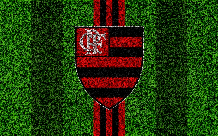 Clube de Regatas do Flamengo logo on grass