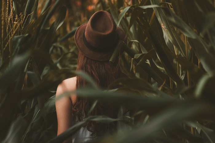 Woman in Fedora Walking Through Corn Field