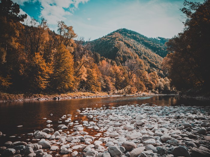 River flowing through a forest with mountains in the background