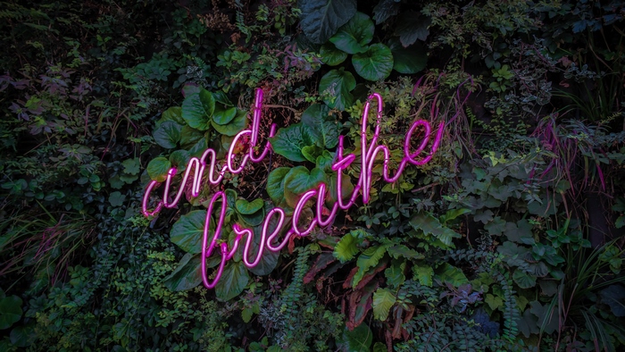 Neon sign that says "and breathe" on a plant wall