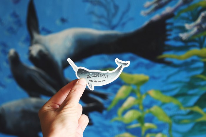 Hand holding a narwhal sticker with "BE CONTENT" text