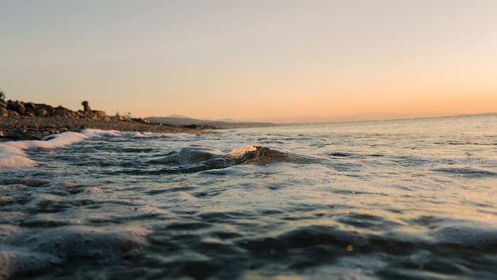 Low angle view of ocean waves at sunrise