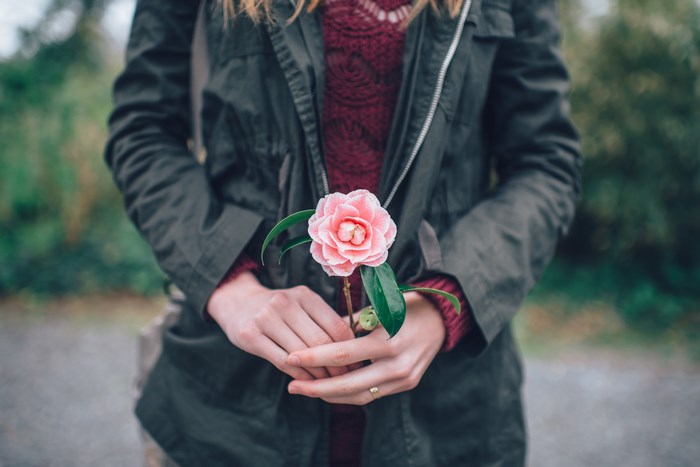 Woman holding a pink camellia flower