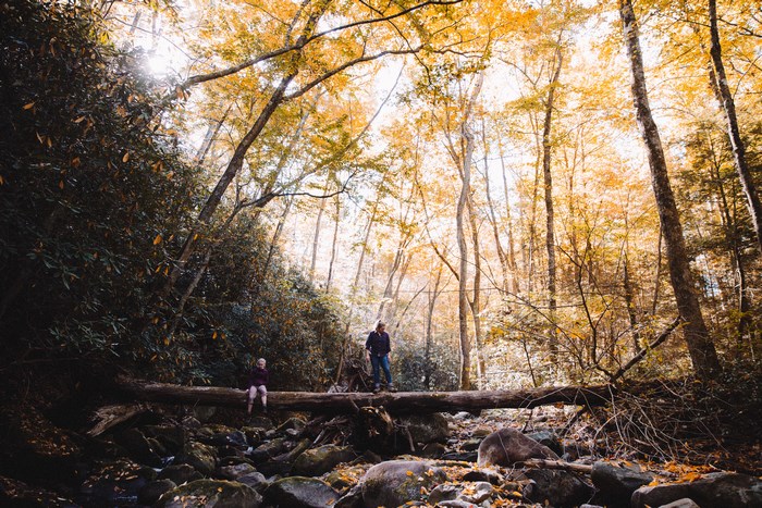 Couple crossing a fallen tree in an autumn forest