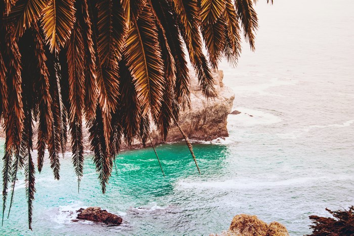 Palm fronds overhang a rocky cove with turquoise water