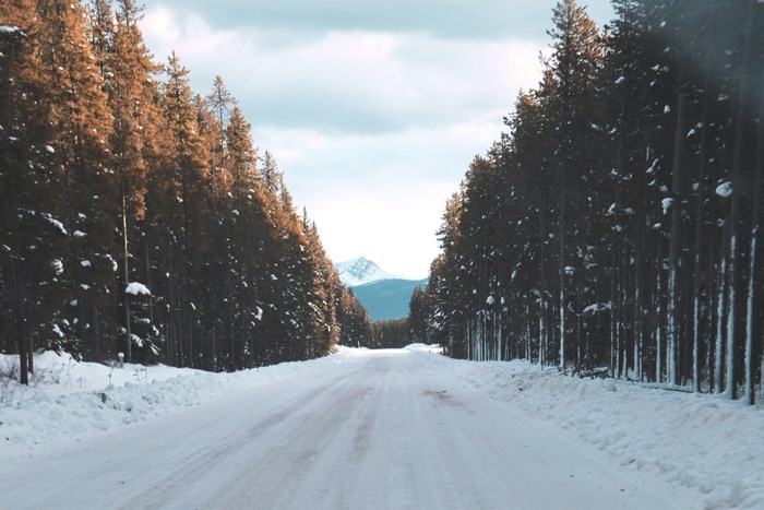Snowy road through a pine forest towards a mountain in Banff