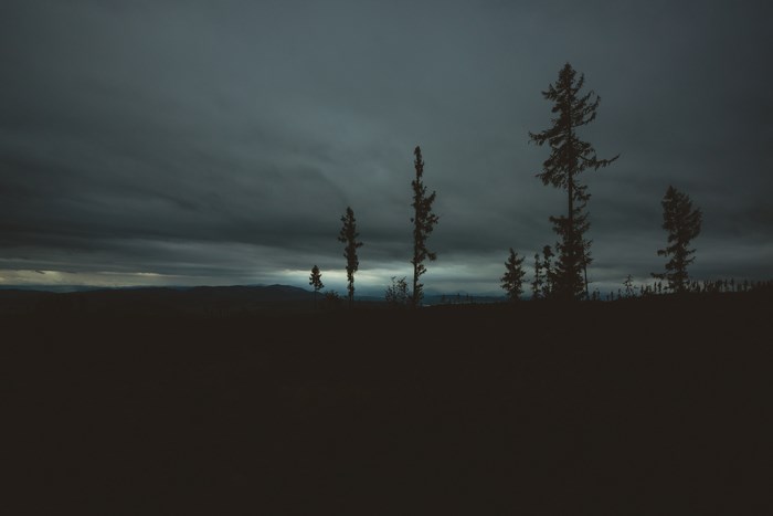 Dark cloudy sky over silhouetted trees and landscape