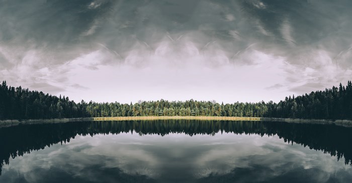 Forest reflected in a lake under a cloudy sky