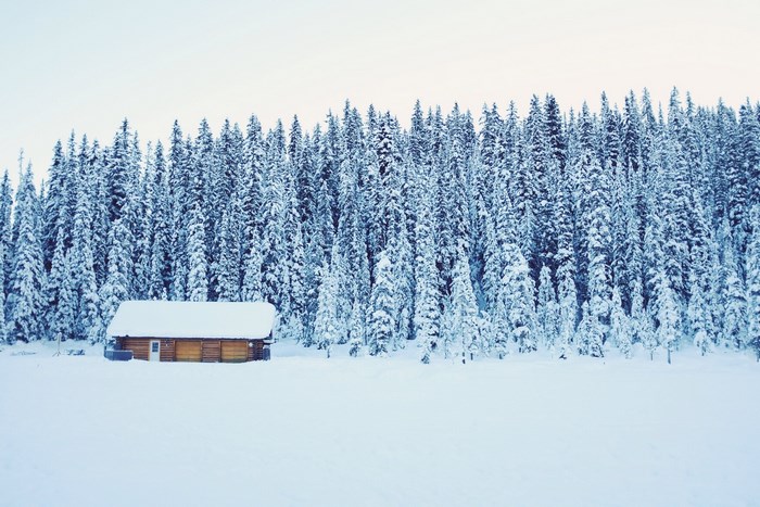 Wooden cabin in a snow-covered pine forest