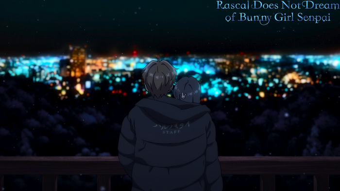 Rascal Does Not Dream of Bunny Girl Senpai