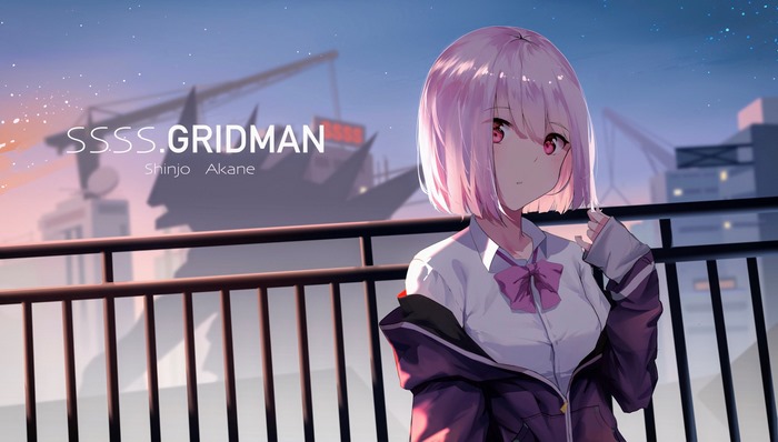 SSSS.GRIDMAN Akane Shinjou