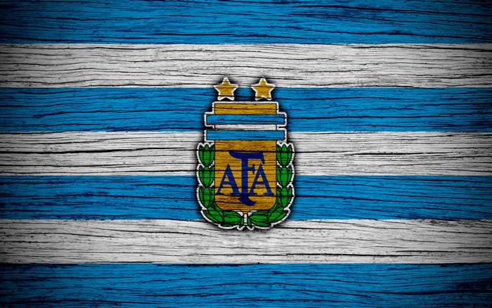 Argentina national football team emblem on wooden flag