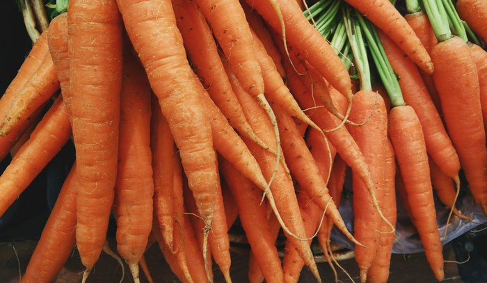 A large bunch of fresh, organic carrots