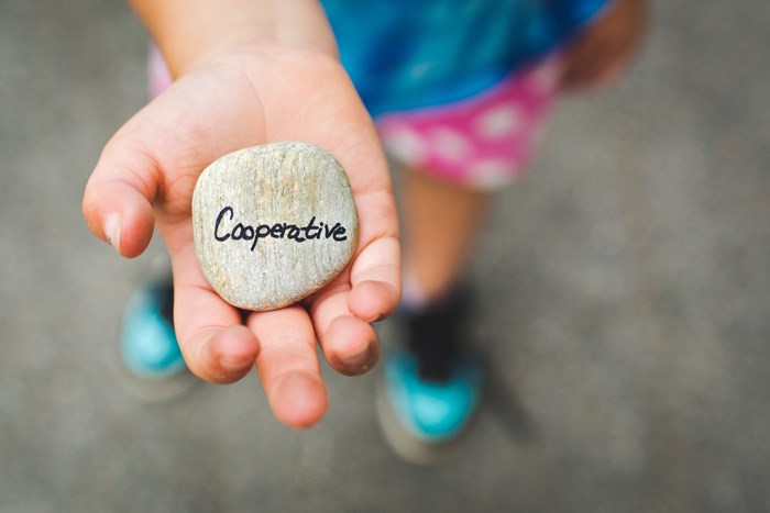 Child holding a stone with the word "Cooperative" written on it