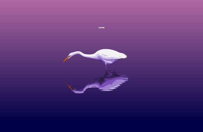 White Heron standing in purple water with reflection