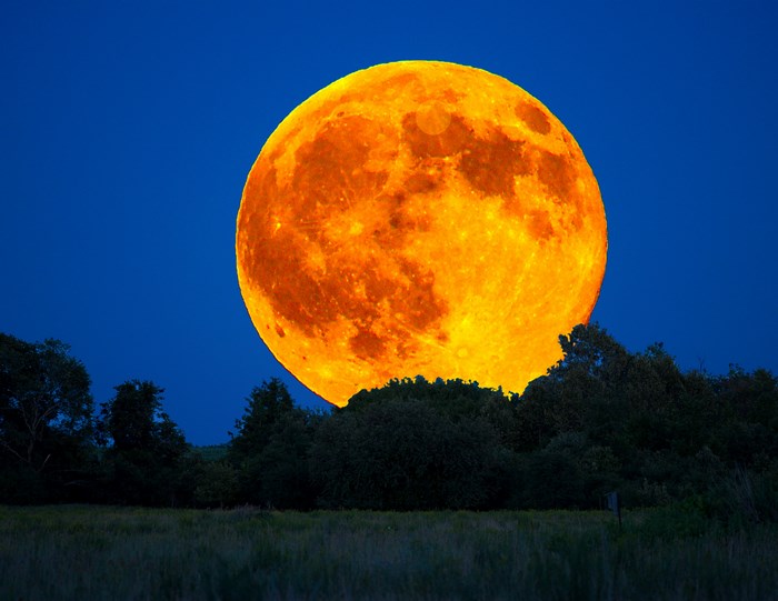 Bright Orange Full Buck Moon over Dark Trees