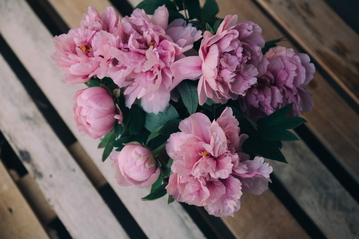 Pink peonies bouquet on a wooden surface