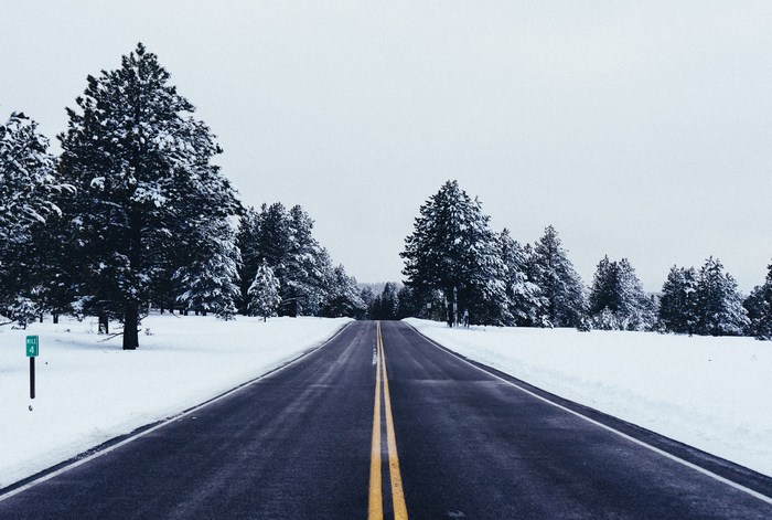A snowy road through a pine forest
