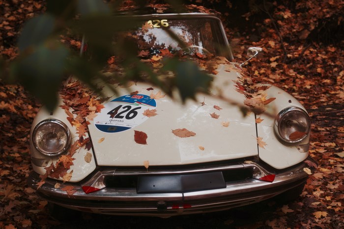Vintage car with number 426 covered in autumn leaves