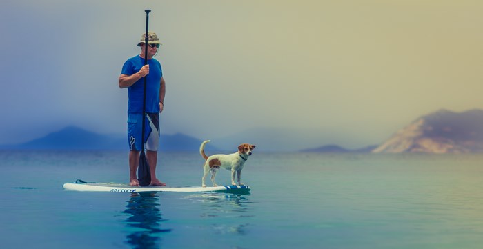 Man and dog on a paddleboard in the ocean