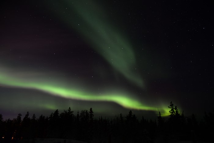 Aurora Borealis over a dark forest at night